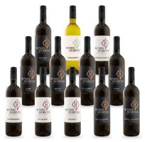 12 Flaschen im 12er Kennenlern-Set: Blaufränkisch Ried Hochberg 2024, St. Laurent Classic 2022, Zweigelt Classic 2024, Blaufränkisch DAC Reserve 2021, Cabernet Sauvignon Reserve 2022, Cuvée Canis Reserve 2022, Merlot Reserve 2021, St. Laurent Reserve 2021, Syrah Reserve 2021, Zweigelt Reserve 2021, Chardonnay 2025, Cabernet Merlot 2025