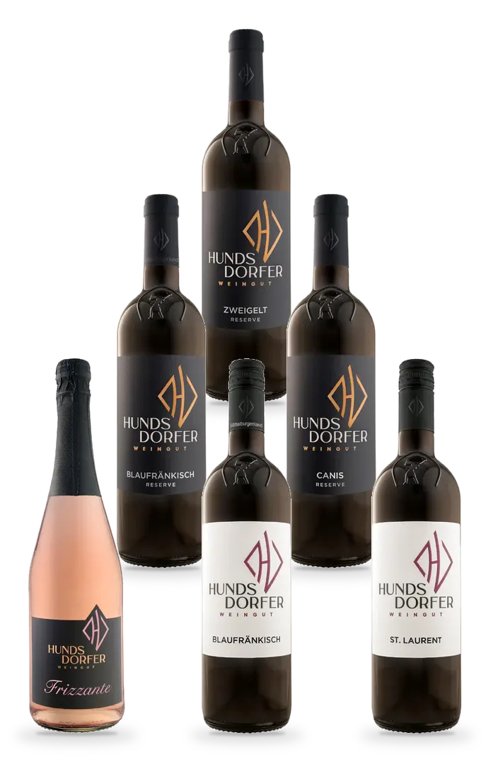 6 Flaschen im 6er Kennenlern-Set: Frizzante Rosé 2025, Blaufränkisch Ried Hochberg 2024, St. Laurent Classic 2022, Blaufränkisch DAC Reserve 2021, Cuvée Canis Reserve 2022, Zweigelt Reserve 2021