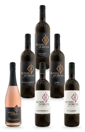 6 Flaschen im 6er Kennenlern-Set: Frizzante Rosé 2025, Blaufränkisch Ried Hochberg 2024, St. Laurent Classic 2022, Blaufränkisch DAC Reserve 2022, Cuvée Canis Reserve 2022, Zweigelt Reserve 2021